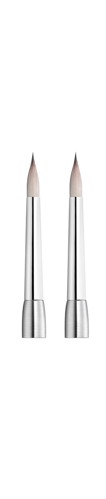 RSPCT,Spare brush tips #6 Regular /2pcs