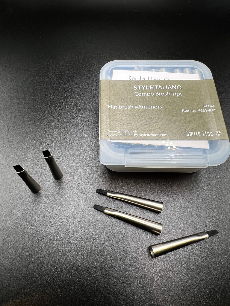 Compo brush, Flat brush tips #Anteriors (50 pcs)