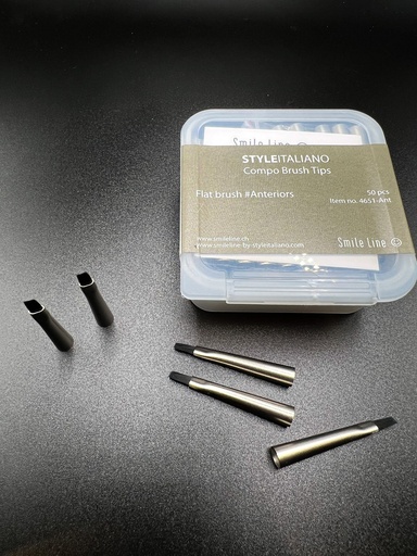 [4651-ANT] Compo brush, Flat brush tips #Anteriors (50 pcs)