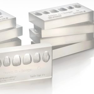 SILICONE MOULDS, ANTERIOR
