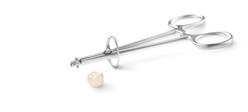IMPLANT BASE HOLDER - Image 2