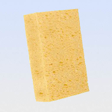 H2O, viscose sponges (2 pcs)
