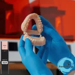 Model Resin Dental 3D Model Resin From formlabs Jordan available at JODLU Cpmany Jordan