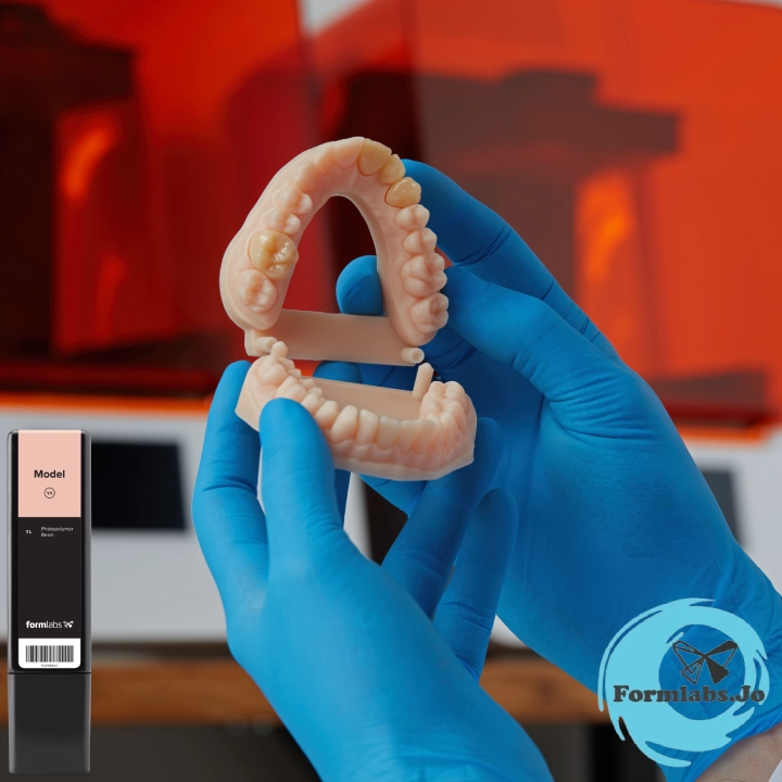 Model Resin Dental 3D Model Resin From formlabs Jordan available at JODLU Cpmany Jordan