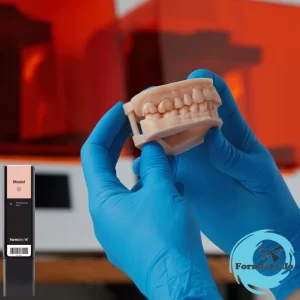 Model Resin Dental 3D Model Resin From formlabs Jordan available at JODLU Cpmany Jordan