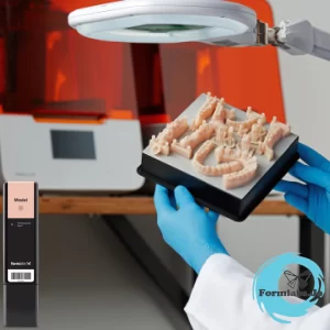 Model Resin Dental 3D Model Resin From formlabs Jordan available at JODLU Cpmany Jordan