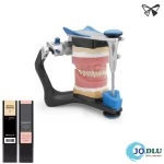 Digital Denture Resins Dental 3D Digital Denture Resin from formlabs Jordan