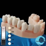 Temporary CB Bleach Resin for 3D Printers formlabs Jordan